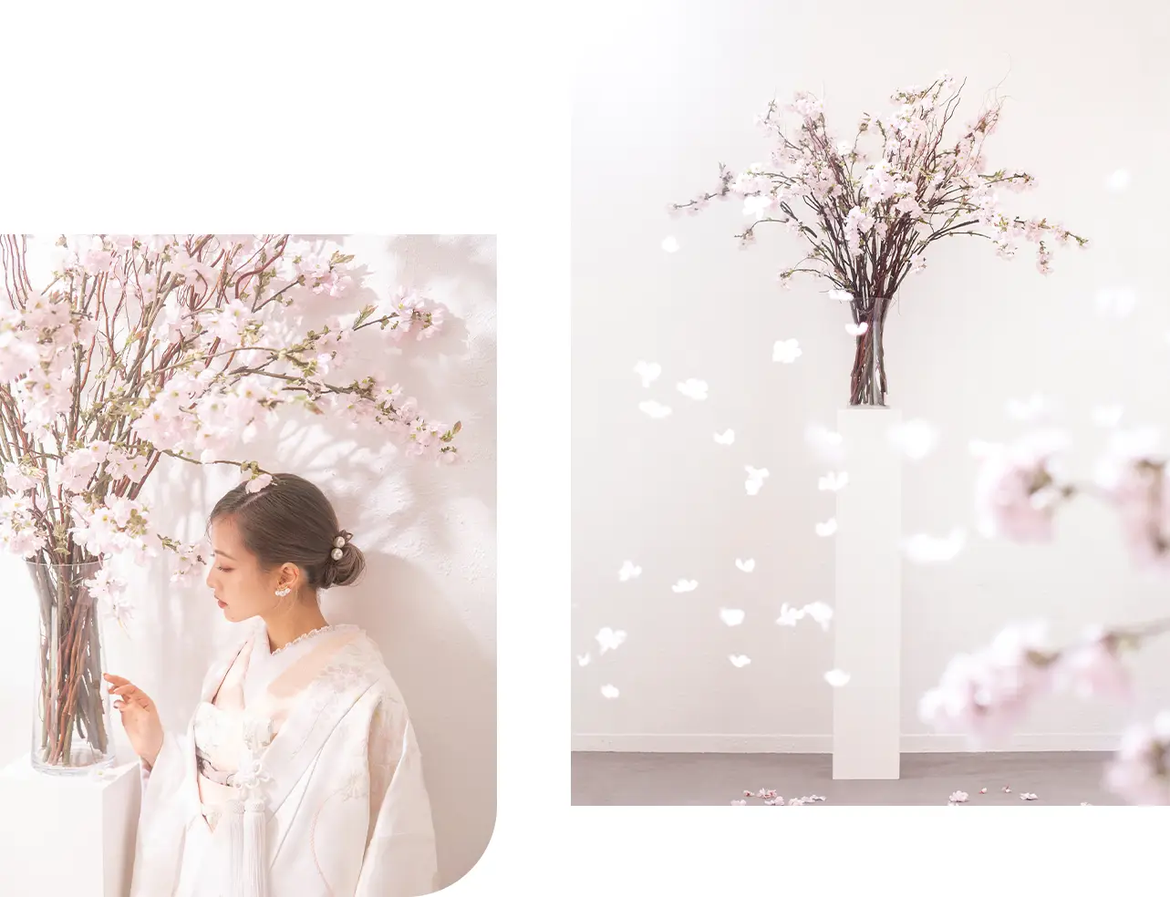 桜のある背景